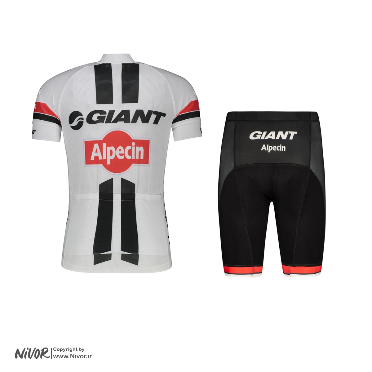 لباس دوچرخه سواری آستین کوتاه جاینت مدل Alpecin سفید